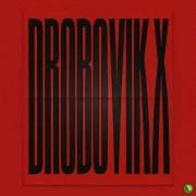 Nichenka Zoryana - Drobovik X (2026)