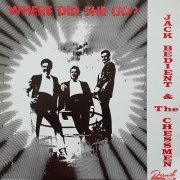 Jack Bedient & The Chessmen - Where Did She Go (Reissue) (1966/2021)