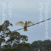 Sienna Thornton - Birding Out (2025) Hi Res