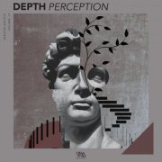 VA - Depth Perception Vol. 17 (2026)