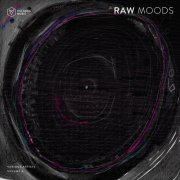 VA - Raw Moods, Vol. 4 (2026)