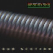 Brynovsky - Dub Section (2024) [Hi-Res]