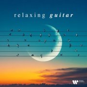 VA - Relaxing Guitar (2024)