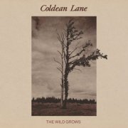 Coldean Lane - The Wild Grows (2025) [Hi-Res]
