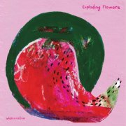 Exploding Flowers - Watermelon/Peacock (2025)