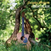 Jacques Stotzem - Bright or Blue (2025)