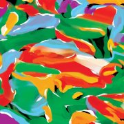Auntie Flo - Birds of Paradise (2025)