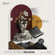 VA - Synths, Notes & Melodies Vol. 19 (2026)