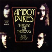 Ted Nugent And The Amboy Dukes - Marriage On The Rocks - Rock Bottom (1970) [Vinyl]