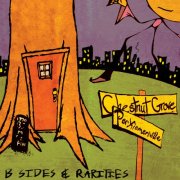 Chestnut Grove - Perkiomenville B Sides & Rarities (2025) [Hi-Res]