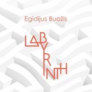 Egidijus Buožis with Al Di Meola, Brian Bromberg, Xavier Desandre Navarre, Vytautas Sondeckis & Domingo Patricio - Labyrinth (2019)