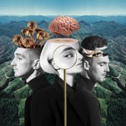 Clean Bandit - What Is Love (2018) Vinyl