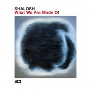 Shalosh - What We Are Made Of (2026) [Hi-Res]