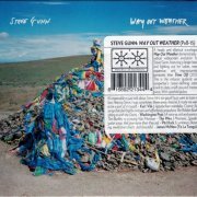 Steve Gunn - Way Out Weather (2014) CD-Rip