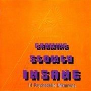 VA - Growing Slowly Insane - 14 Psychedelic Unknowns (1967-71/1994)