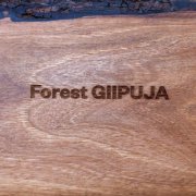 Damjans - Forest Giipuja (2017)