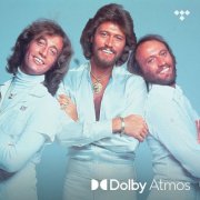 VA - '70s: Dolby Atmos (2024) [E-AC-3 JOC Dolby Atmos]