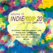 VA - Indie Top 20, Volume 12 (1993)