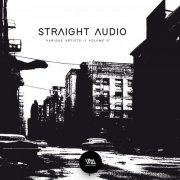VA - Straight Audio Vol. 17 (2026)