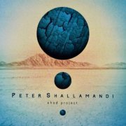 Peter Shallamandi - Ehad Project (2015)