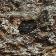 VA - Eastern Miscellanea, vol. 4 (2021)