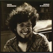 David Bromberg – Demon In Disguise (1972)