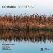 Hossein Behroozinia - Common Echoes (Live) (2026)