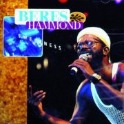 Beres Hammond - Sweetness (1993)