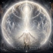 Stelar Door - Spiritual Beings Having A Human Experience (2026)