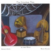Tim Siciliano Trio - In The Attic (2011)