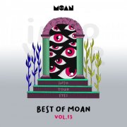 VA - Best of Moan Vol.13 (2025)