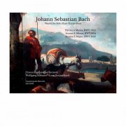 Wolfgang Rübsam - J.S. Bach: Works for Solo Flute Transcribed (2025) Hi-Res