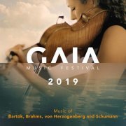 Simon Bucher - GAIA Music Festival 2019 (Live) (2019)