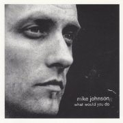 Mike Johnson - What Would You Do (2002)