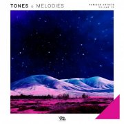 VA - Tones & Melodies Vol. 32 (2025)