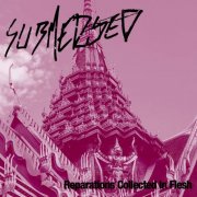Submerged - Reparations Collected In Flesh (2025)
