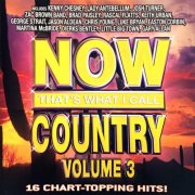 VA - Now That's What I Call Country Volume 3 (2010)