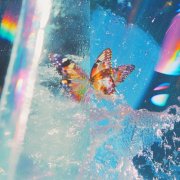 Daphni - Butterfly (2026)