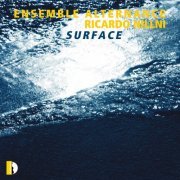 Ensemble Alternance - Ricardo Nillni: Surface (2021) Hi-Res