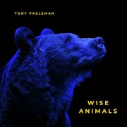 Tony Paeleman - Wise Animals (2024) [Hi-Res]