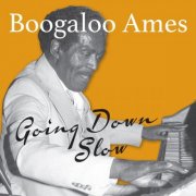 Boogaloo Ames - Going Down Slow (2022)