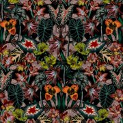 Sammy Boller - Midnight Garden (2026) Hi Res