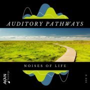 Auditory Pathways - Noises Of Life (2020)