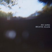 Diz James - Breathe Again (2019)