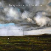 Tony Lucca - Ain't No Storm (2019)