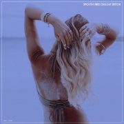 VA - Smooth Vibes Chillout Edition (2026)