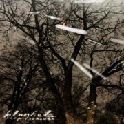 Shep Treasure - Blanket (2026)