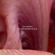 Jane Sheldon - flowermuscle (2025) [Hi-Res]