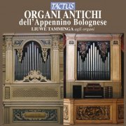 Liuwe Tamminga - Organi Antichi dell'Appennino Bolognese (2012)