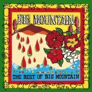 Big Mountain - The Best Of Big Mountain (1999) flac